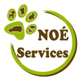 Noé Services