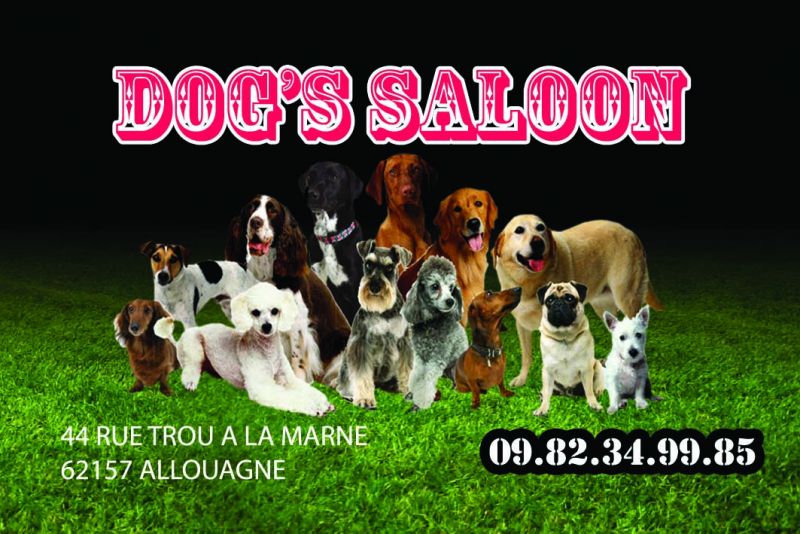 Dog'saloon