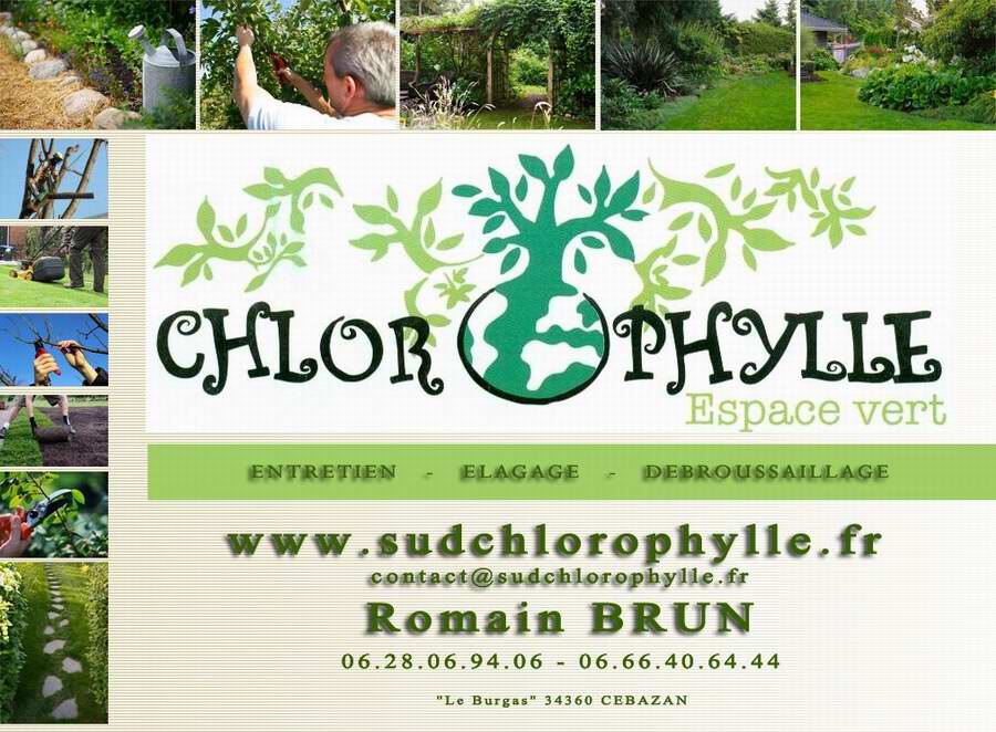 Sud Chlorophylle