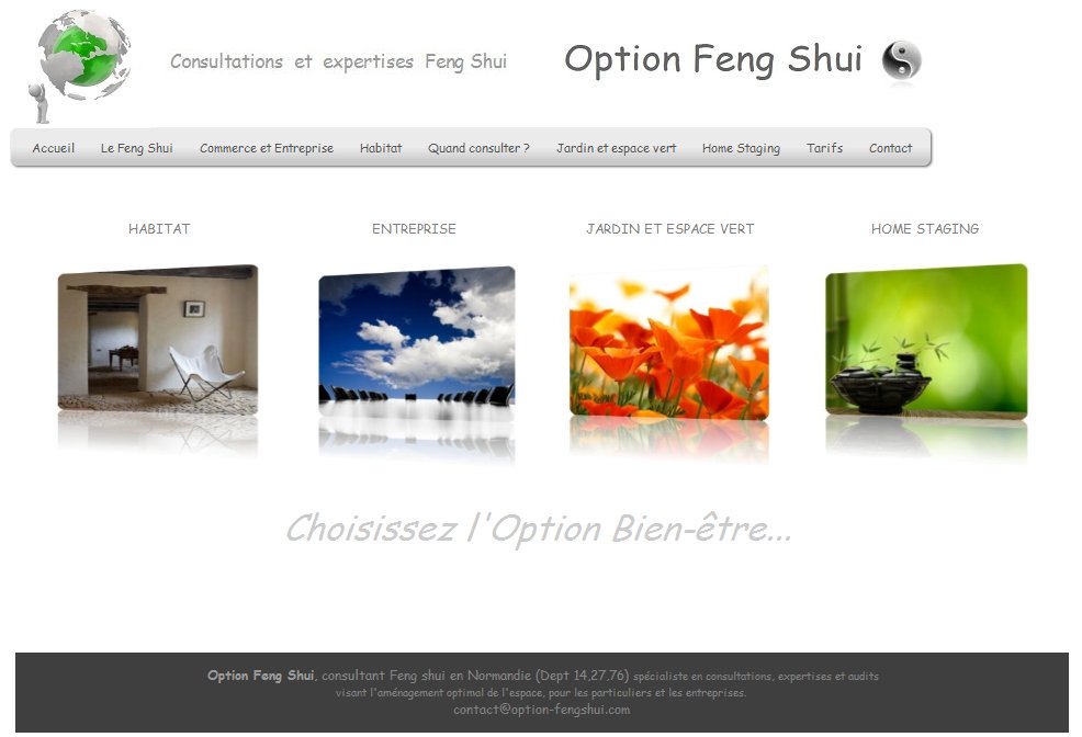 Option Feng Shui