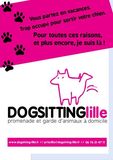 Dogsitting Lille